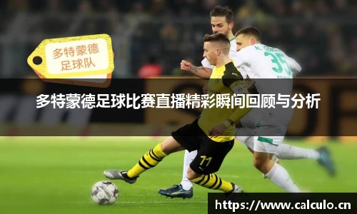 辉达娱乐官网
